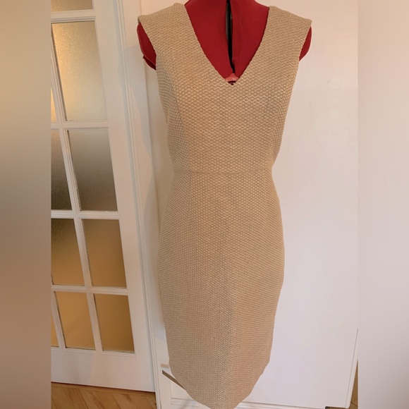 Badgley Mischka Dresses & Skirts - NWOT Badgley Mishka Beige Dress